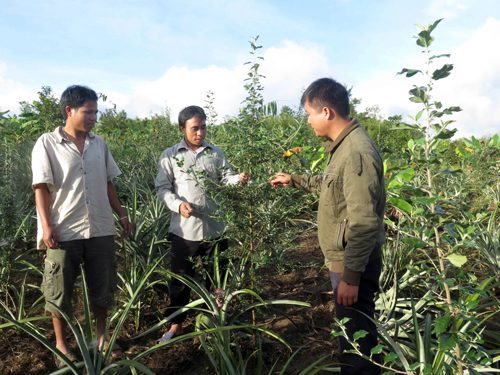 Ch’Ơm cất cánh từ lợi thế địa phương